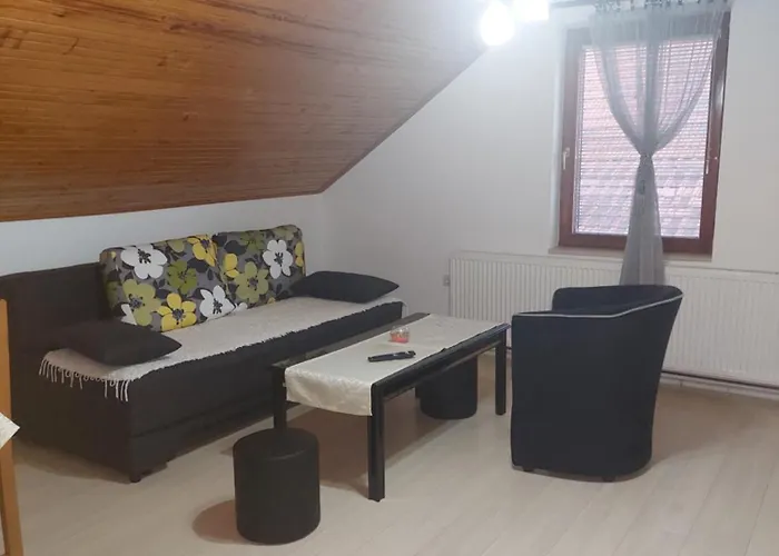 Djokic 2 Sa Bazenom * Soko Banja